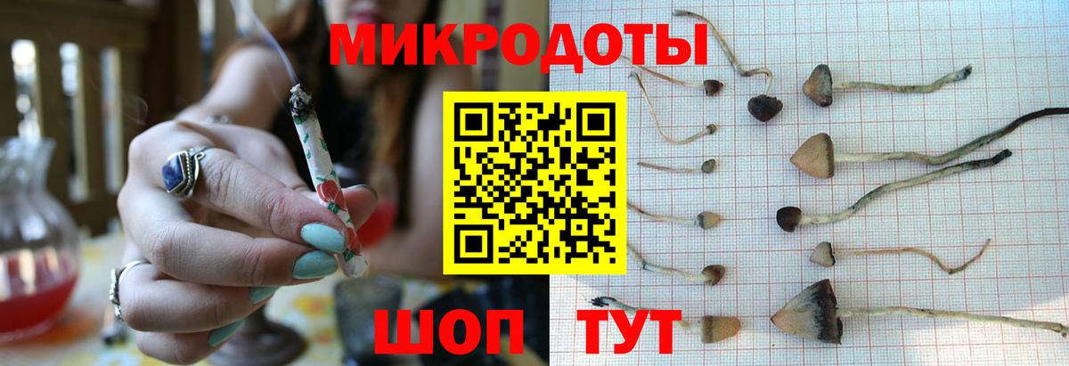 Галлюциногенные грибы прущие грибы  Псилоцибиновые грибы мицелий  Вход с VPN  что такое   Россия 